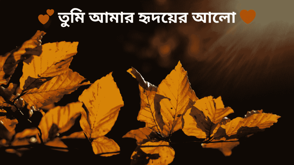 romantic bangla caption