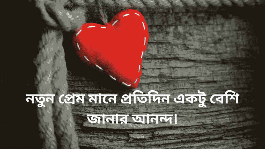 notun prem mane aktu notun kisun janar agroho