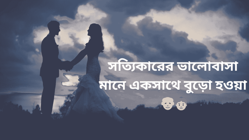sottykarer valobasa mane buro hobo aksathe